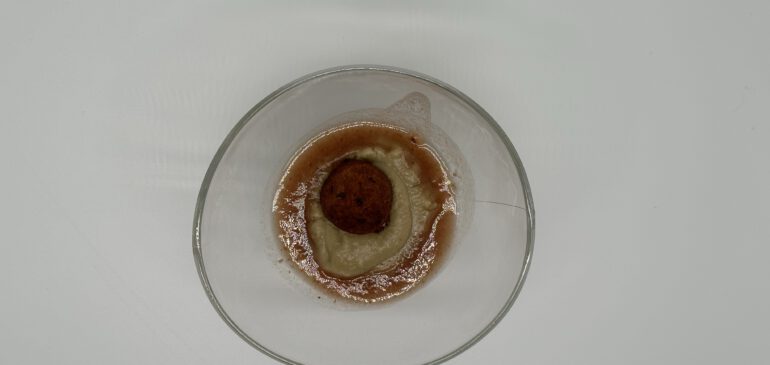Falafel an Baba Ghanoush
