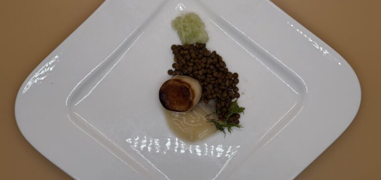 Falsche Jacobsmuschel an Berglinsen